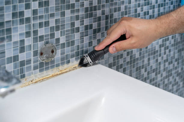 Mold Removal Process in Lake Of The Woods, IL